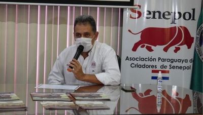 Senepol entregó 2.000 pajuelas de alta genética para beneficiar a pequeños productores (G. 80 millones de inversión)