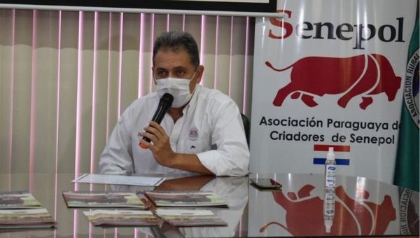 Senepol entregó 2.000 pajuelas de alta genética para beneficiar a pequeños productores (G. 80 millones de inversión)