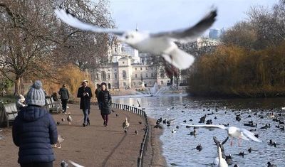 Londres defiende el refuerzo fronterizo y pide a los británicos no viajar - Mundo - ABC Color