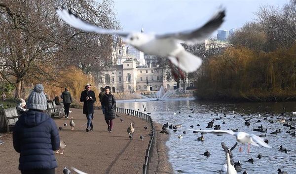 Londres defiende el refuerzo fronterizo y pide a los británicos no viajar - Mundo - ABC Color