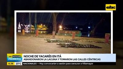 Yacarés “invadieron” las calles de Itá - ABC Noticias - ABC Color