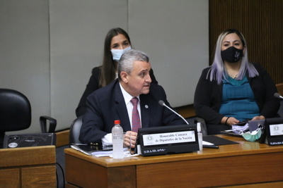 Voto censura a Villamayor se definirá el 3 de febrero - ADN Digital