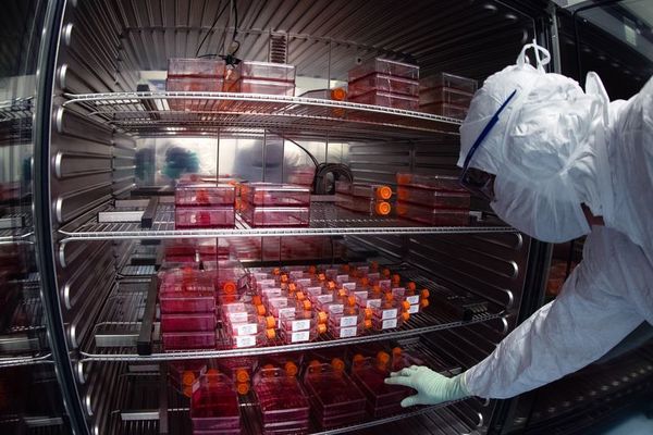 Laboratorio francés Sanofi fabricará la vacuna de su rival Pfizer/BioNTech - Ciencia - ABC Color