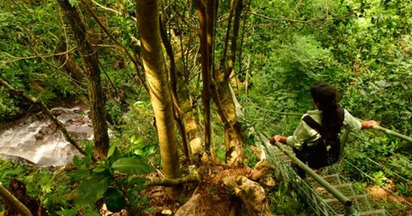 La Nación / Destino LN: opciones de ecoturismo para disfrutar de las vacaciones con conciencia