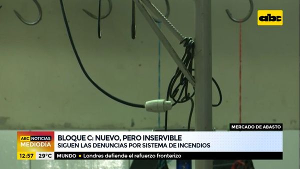 Siguen las denuncias contra el sistema de incendios del Bloque C del Abasto - ABC Noticias - ABC Color