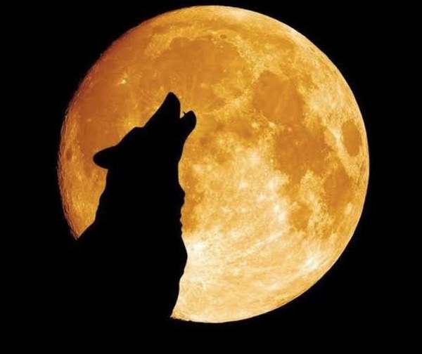 ‘Luna de lobo’ se podrá apreciar este jueves