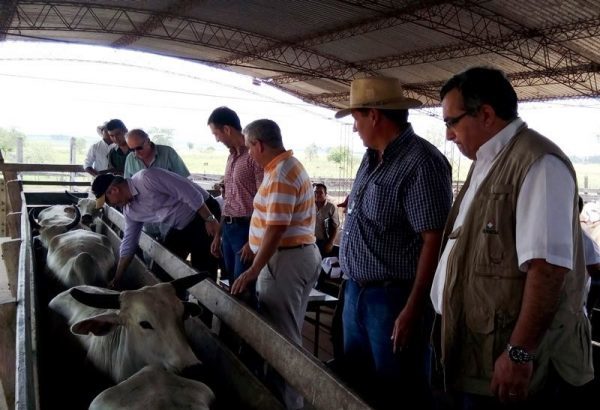 Segundo periodo de vacunación antiaftosa iniciará el 19 de abril - Ñanduti