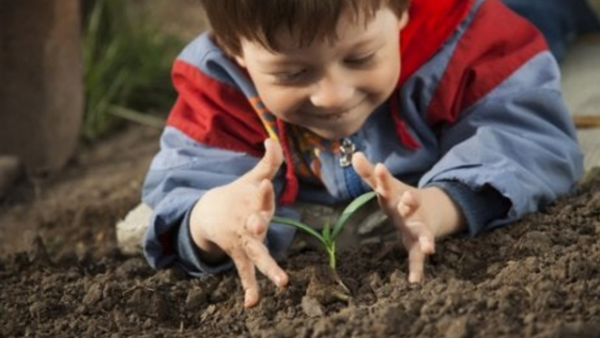 Itaipú lanza concurso de videos sobre educación ambiental