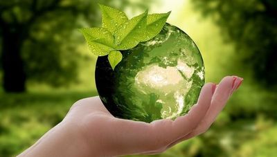 Guía de Soluciones Ambientales para Empresas: ¿cómo podemos aplicarla?