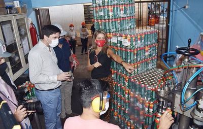 Maahsa sacó 38 nuevos productos - Empresariales - ABC Color