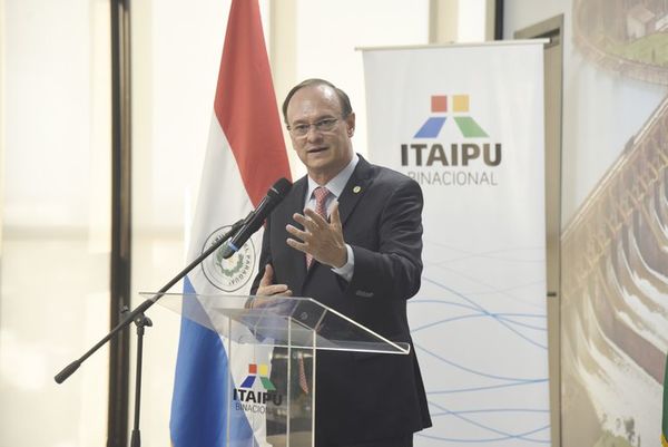 Presiones de políticos y puja por las licitaciones forzaron salida de Bergen - Nacionales - ABC Color