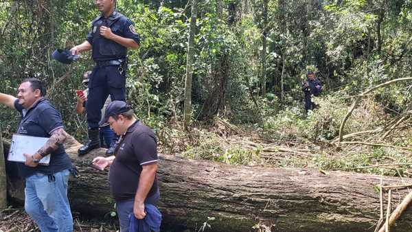 Fiscalía interviene reserva forestal de Yguazú y ordena el cese de la tala de árboles nativos