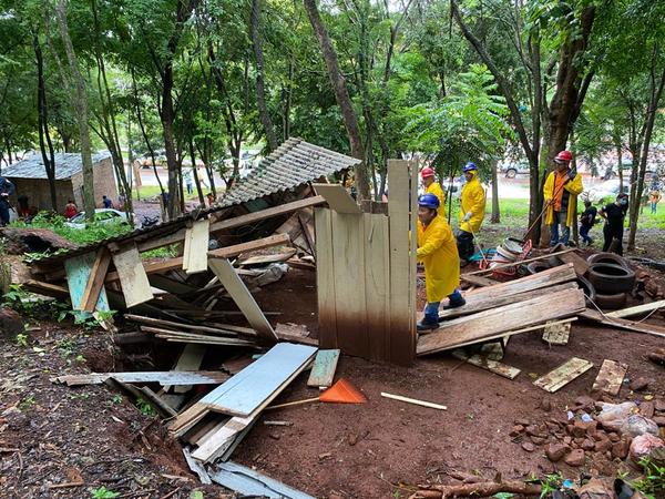Ocupantes ilegales deforestaron reserva natural ubicada al costado del Lago de la República