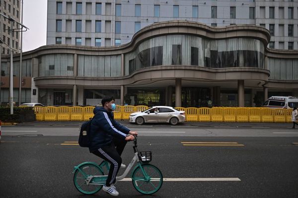 La OMS inicia en Wuhan su investigación de la pandemia, que aísla a Brasil - Mundo - ABC Color