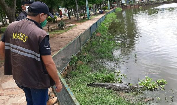 MADES interviene comuna de Itá por manejo irregular de animales silvestres