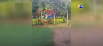 Imágenes sensibles: Así fue la pelea donde un joven murió apuñalado | Noticias Paraguay