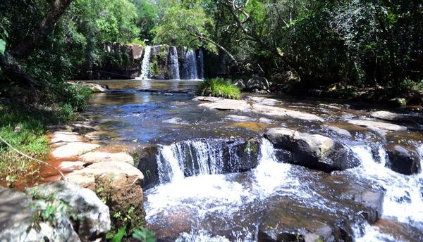 Tras más de 10 meses, seis parques nacionales volverán a recibir visitas - Nacionales - ABC Color