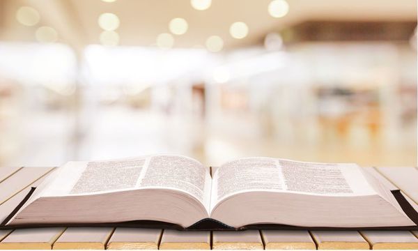 Lanzan primer diccionario guaraní monolingüe - Cultura - ABC Color
