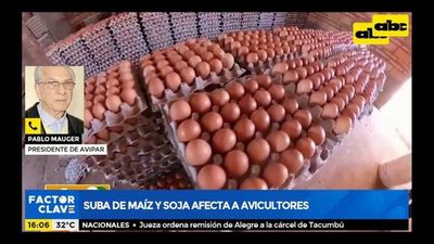 Suba de maíz y soja afecta a avicultores - Factor Clave - ABC Color