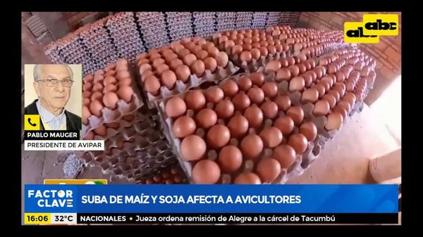 Suba de maíz y soja afecta a avicultores - Factor Clave - ABC Color