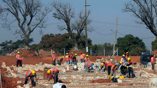 Necesitamos verdaderos profesionales