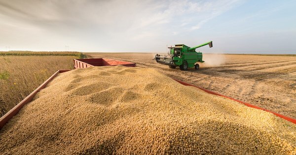 La Nación / El apetito chino por la soja sudamericana sostiene precios y alienta el cultivo