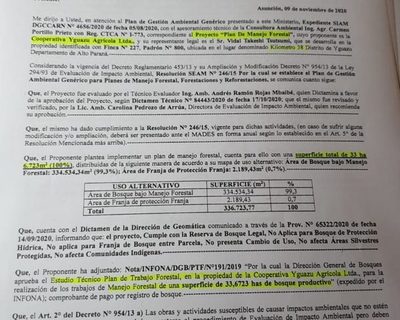 COOPERATIVA YGUAZÚ PRESENTA DOCUMENTOS Y RECHAZA DENUNCIA SOBRE TALA ILEGAL DE ÁRBOLES