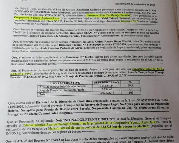 COOPERATIVA YGUAZÚ PRESENTA DOCUMENTOS Y RECHAZA DENUNCIA SOBRE TALA ILEGAL DE ÁRBOLES