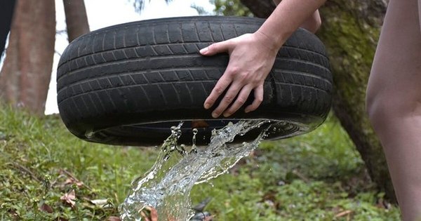 La Nación / Instan a notificar casos de arbovirosis