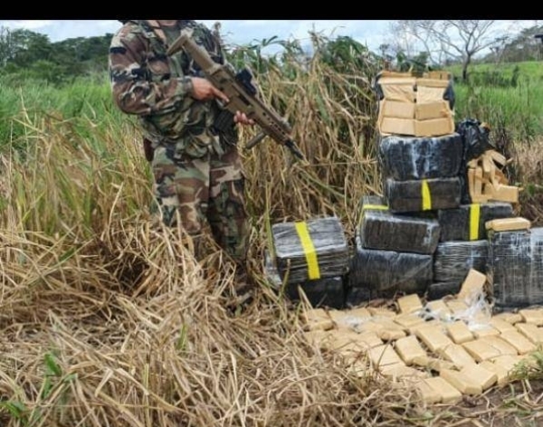 HOY / Lucha contra el narcotráfico: destruyen más de 520 kilos de marihuana