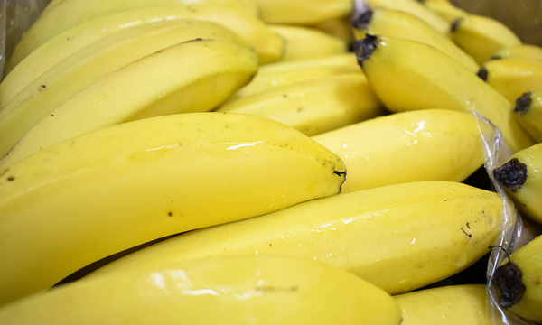 Hubo récord por envío de banana