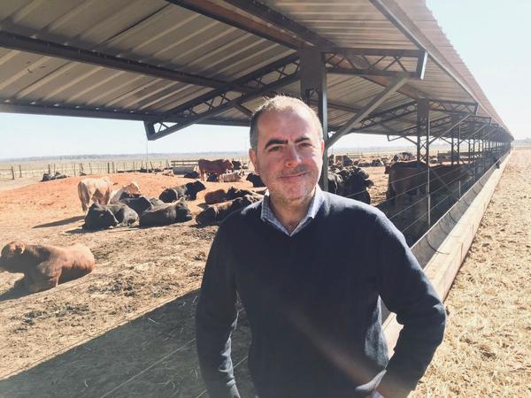 Frigoasunción enviará en febrero los primeros contenedores con carne a Brasil