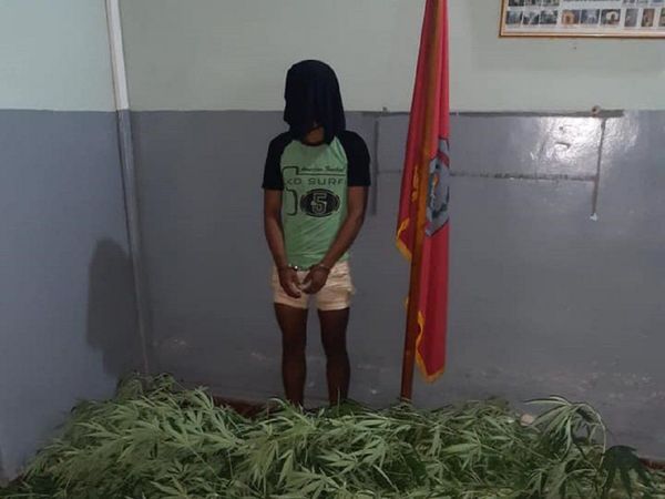 Denunciaron a sordomudo por violento y poli pilló que tenía plantación de marihuana