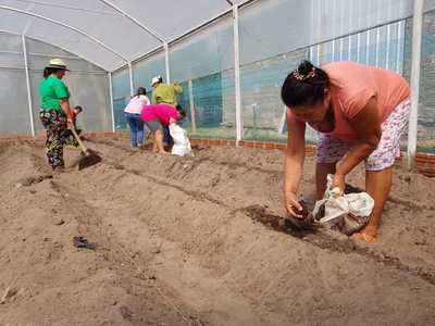 Mujeres rurales se capacitan en cultivos bajo invernadero para mejorar la producción hortícola | .::Agencia IP::.