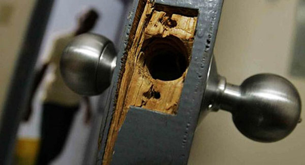 Roban dinero y armas de dos viviendas