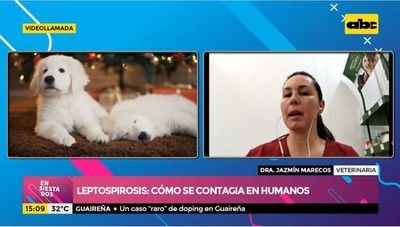 ¿Qué es la leptospirosis? - Ensiestados - ABC Color