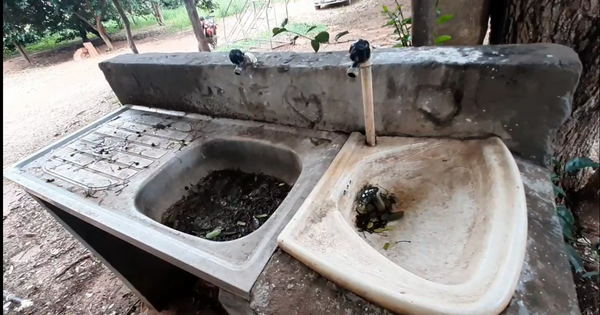 Escuela en San Pedro está en pésimas condiciones