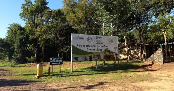 La Nación / Reabrirán gradualmente seis parques nacionales