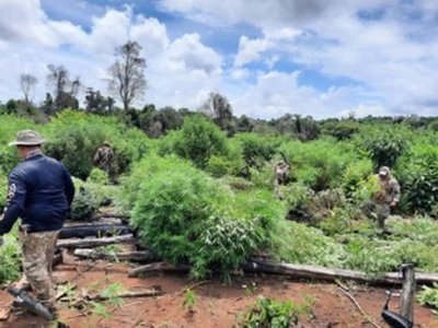 Destruyen campamento narco en la Reserva Morombí