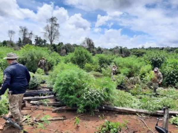 Destruyen campamento narco en la Reserva Morombí