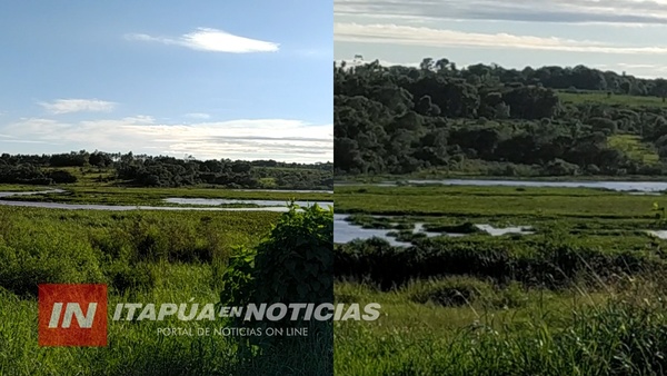 PREOCUPA FALTA DE LIMPIEZA DE SUB EMBALSES DEL RÍO PARANÁ