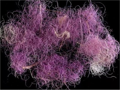 Hallan tejidos púrpura de 3.000 años de antigüedad