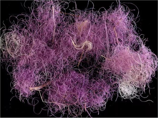 Hallan tejidos púrpura de 3.000 años de antigüedad