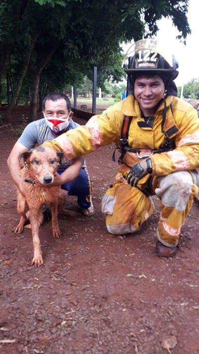 Emotivo rescate de “Jordi”, un perrito que cayó en un pozo de 13 metros  - ABC en el Este - ABC Color