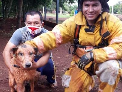 Voluntarios rescatan a un perro que cayó a un pozo de 13 metros