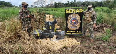 SENAD destruye 9,5 toneladas de marihuana en la reserva Morombí – Diario TNPRESS
