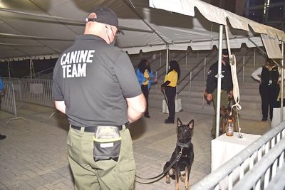 Crónica / Metieron público gracias a perros que huelen covid