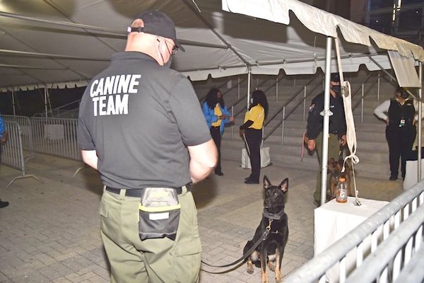 Crónica / Metieron público gracias a perros que huelen covid