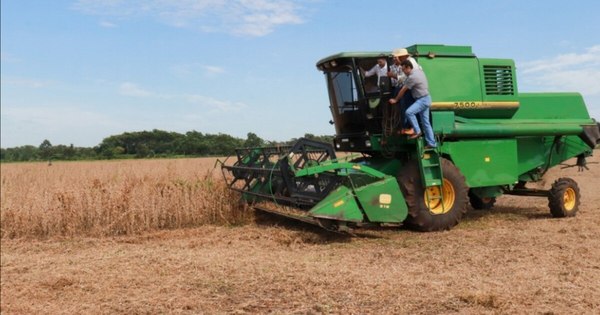 La Nación / Denuncian incertidumbre y miedo en el campo por robos e impunidad