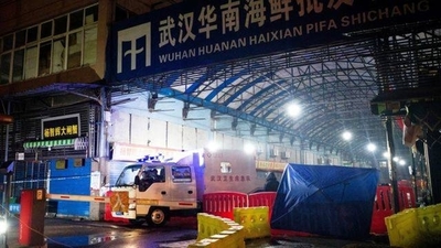 HOY / Expertos de la OMS visitan mercado donde se dieron los primeros contagios en Wuhan